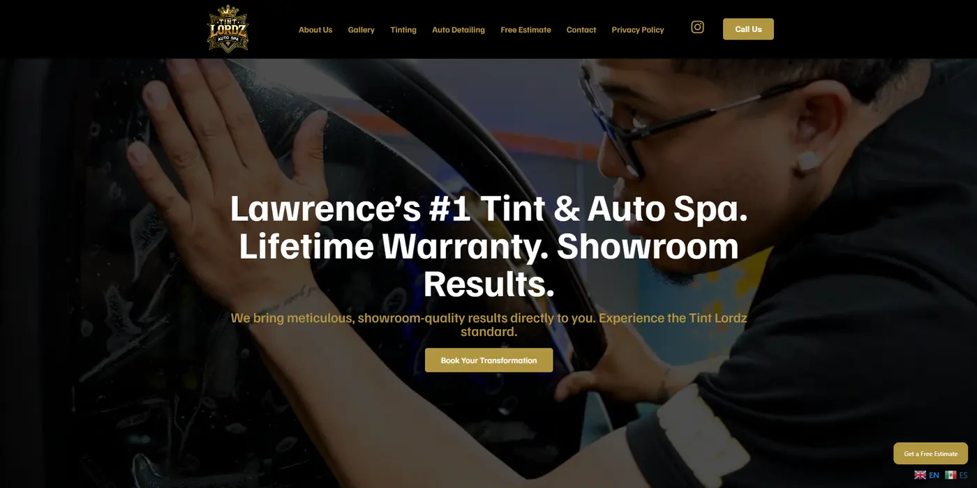 Window tint and detailing website